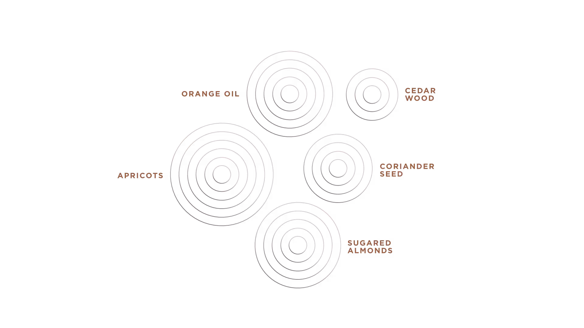 Tasting notes diagram for The 42