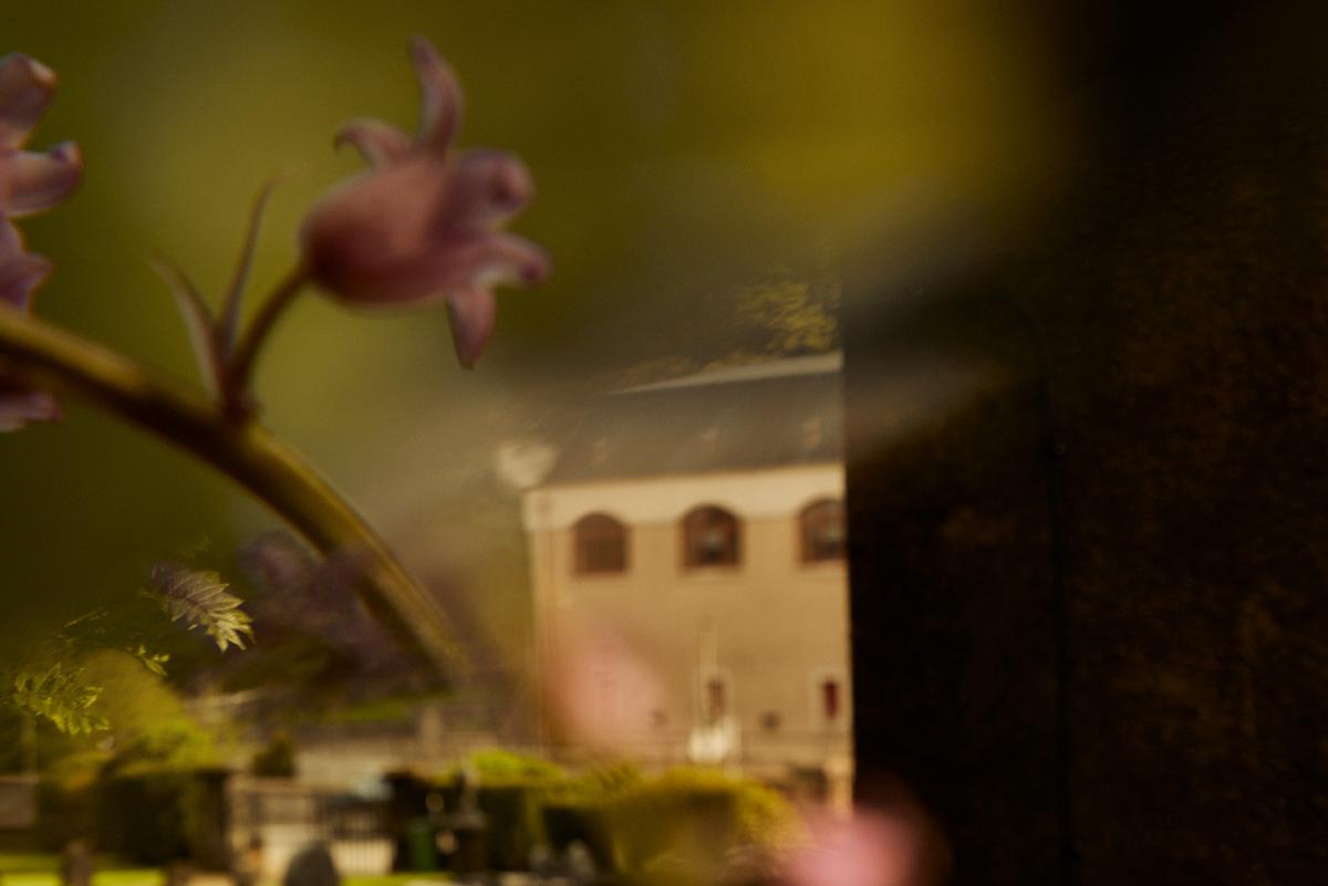 flower with distillery in background