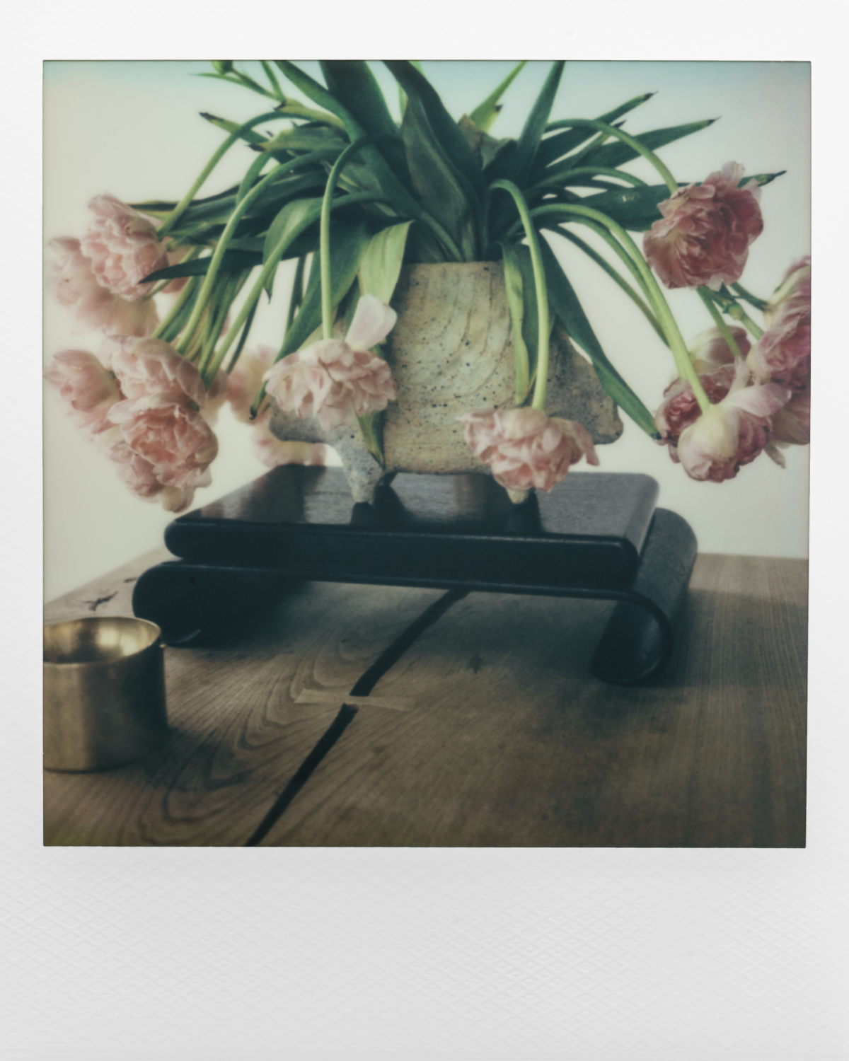 Polaroid from the home of Han Chong