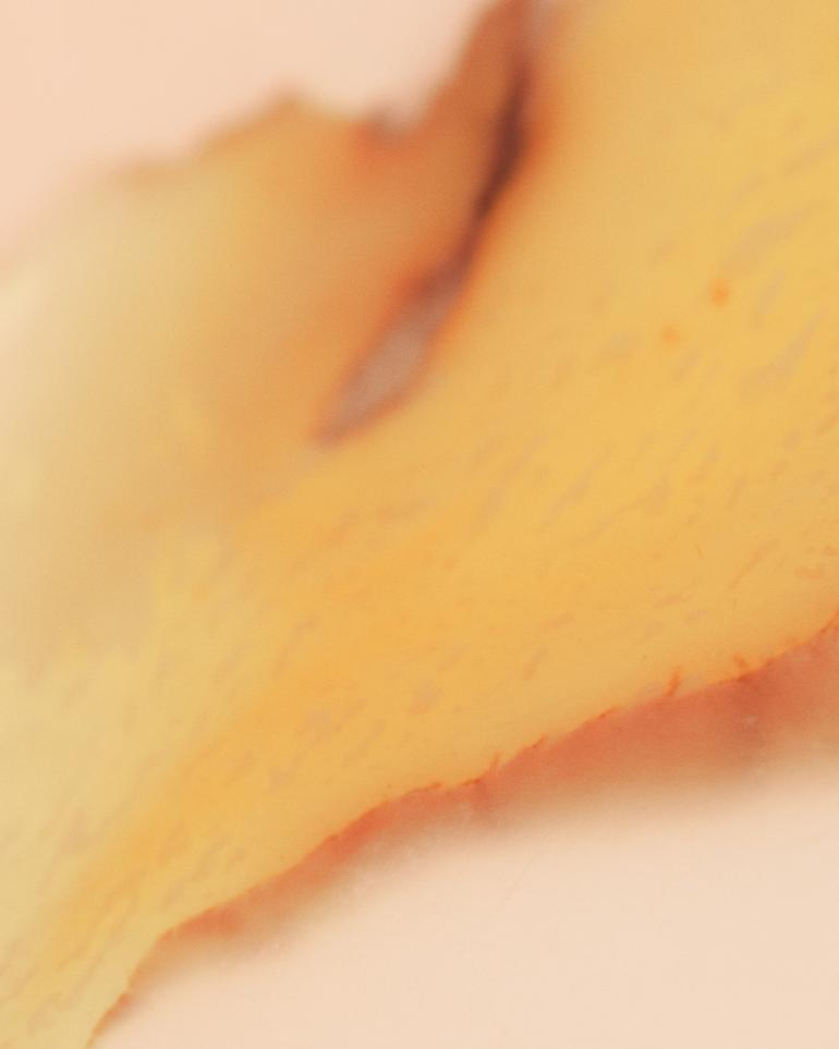 Ginger flavour profile