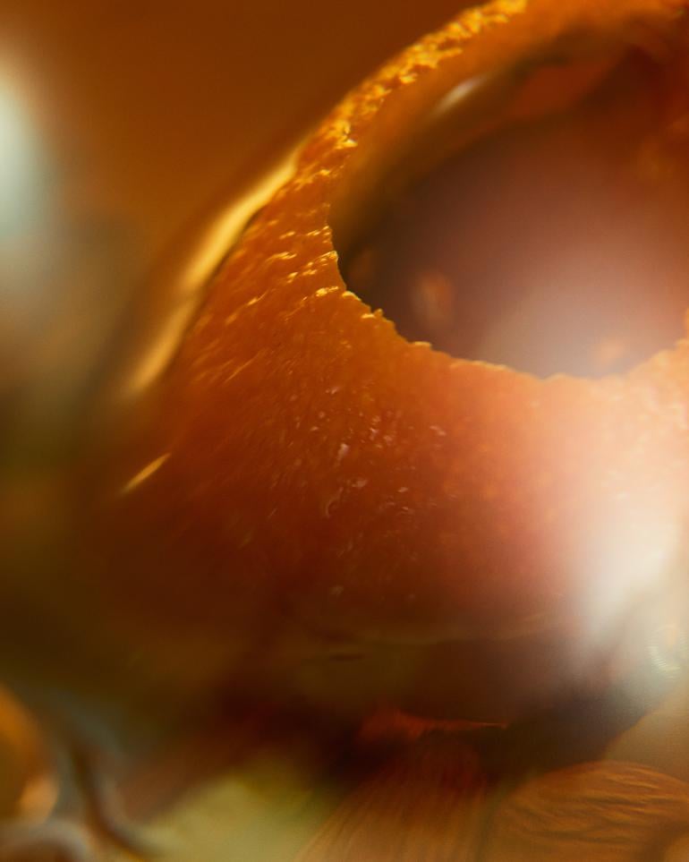 Orange peel and almond close up
